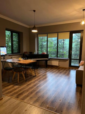 Tranquille Dilijan